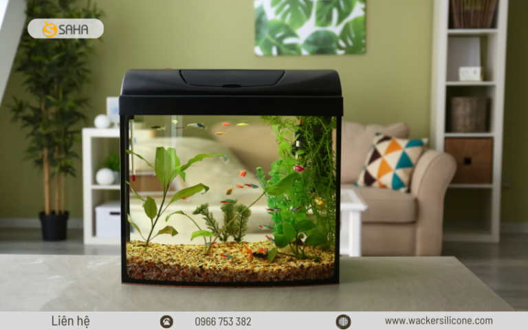 bắn keo silicone dán bể cá đẹp