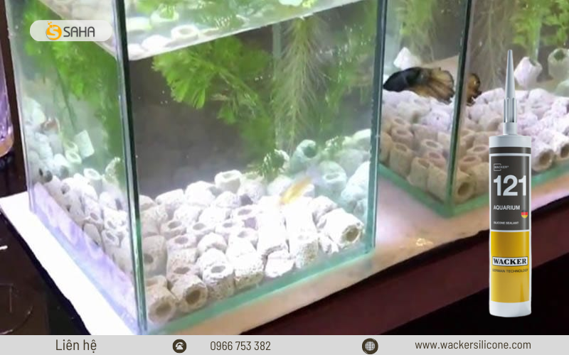 Khả năng chống thấm nước tuyệt đối